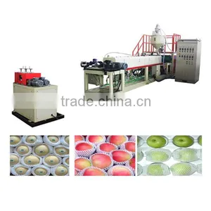 EFW-75 PE Foam Fruit Net Extruding Machine thumbnail-3