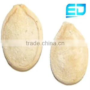 Fresh Pumpkin Seeds thumbnail-1