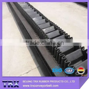 Sidewall Conveyor Belts With Small Spacing thumbnail-2