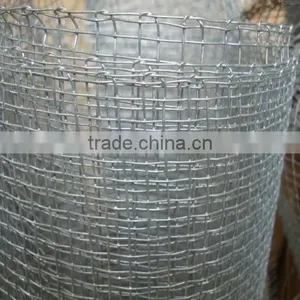 Galvanized Iron Wire Material Galvanized Square Wire Mesh thumbnail-3