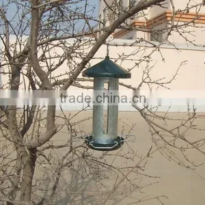 Bird Feeder thumbnail-1