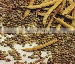 Guar Seeds thumbnail-1