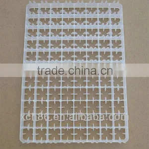 Custom High Quality Professional Plastic Quail Egg Tray With Holes thumbnail-2