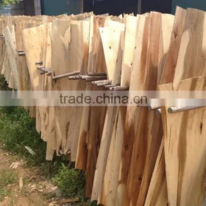 Cheap Acacia Veneer From Vietnam 1270*640mm 18% thumbnail-1