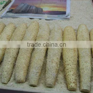 Fresh Chinese Yam From New Crop in 2016 thumbnail-1