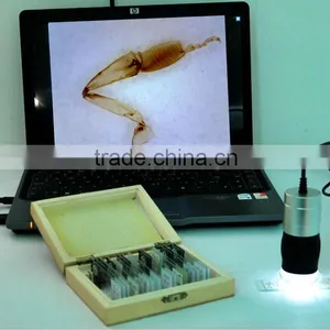 Patent 40~240X Magnification 1.3MP MDA1300 Handheld USB Digital Microscope With 8 Led Ring Light thumbnail-5