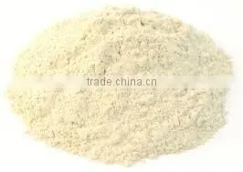 Banana Powder / Banana Pulp Powder Spray Dried thumbnail-1