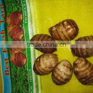 2013 Chinese Taro thumbnail-1