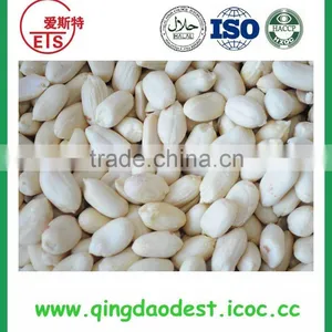 Wholesale High Quality Chinese Best Price Blanched Peanut thumbnail-3