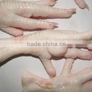 GRADE AAA FROZEN CHICKEN PAW thumbnail-1