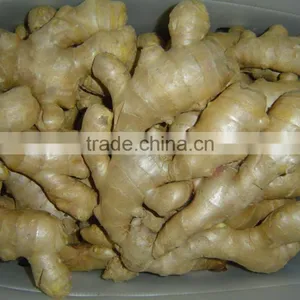Fresh Wet Ginger thumbnail-4