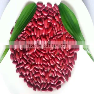 JSX Cooking British Red Kidney Bean Round Shape Food Grade Red Kidney Bean thumbnail-6
