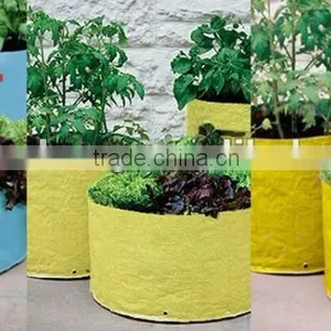 Grow Bag thumbnail-1