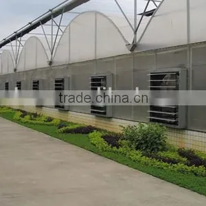 36 Inch Wall Mounted Exhaust Fan Agricultural/industrial/poultry Ventilator in Guangzhou thumbnail-5