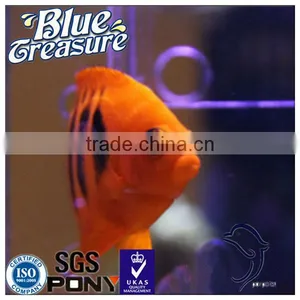 Aquaculture Sea Salt For Grouper Fish Farm thumbnail-1