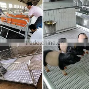 High Quality Pig Cage/pig Equipment/poultry Farm Equipment thumbnail-6