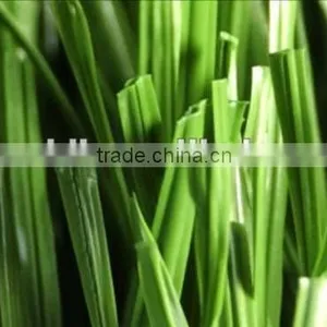 Super Quality Fake Grass Carpet thumbnail-1