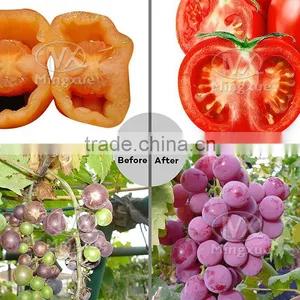 Usb Table Lamp LED Grow Light Mini LED Bulb Lights E27 LED Grow Light thumbnail-5