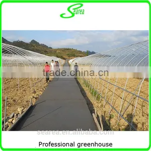 Polytunnel Steel Structure Used Greenhouse thumbnail-1