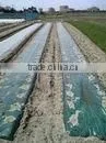 All Kinds of Colorful Biodegradable Plastic Agricultural Film thumbnail-1