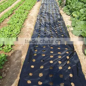 PE Agricultural Black Mulch Film With Different Holes thumbnail-1