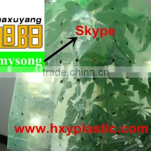 Green Color PE Agricultural Plastic Perforated Film With UV for Protective Tomato Tree thumbnail-1
