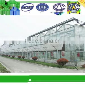 Commercial Greenhouses thumbnail-4