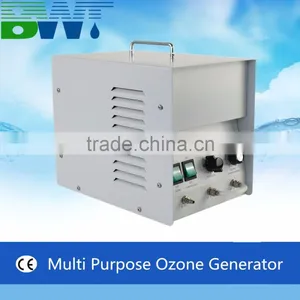 5g/h Air Purificatoire Kill Virus et Odeur 99 Ozone Air Purification Equipment thumbnail-2