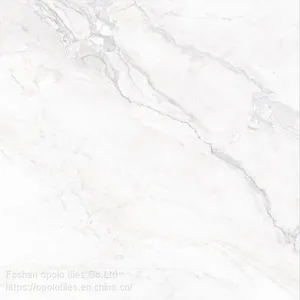 Fullbody Tiles / Glazed Tiles 800X800 thumbnail-4