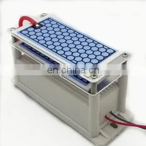 Portable Ionized Air Purifier 10g 12V Car Air Purifier Electronic Air Purifier Industrial Ozone Generator thumbnail-1