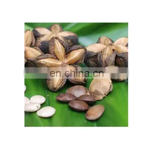 100% Organic Sacha Inchi Wholesale/Supply SACHA INCHI From VIETNAM With Good Price thumbnail-1