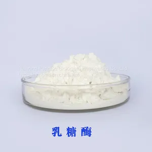 Lactase Food Grade CAS:9031-11-2 β- Galactosidase thumbnail-2