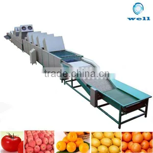 Lemon Cleaning Waxing Drying and Grading Machine Price thumbnail-1