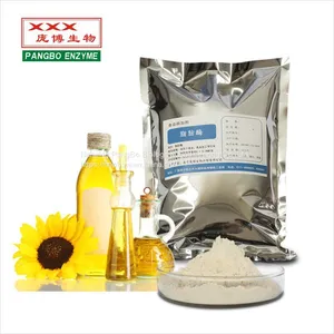 LIPASE CAS：9001-62-1 Food Grade thumbnail-1