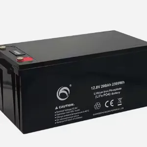 Lifepo4 Lithium Iron Phosphate 12.8v 200Ah thumbnail-1