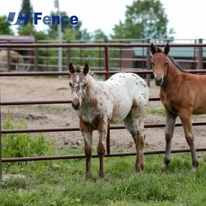 Heavy Duty Galvanized Portable Horse Yard Panel Livestock Fencing Cattle Panels Sheep Corral Panels and Gates for Animals thumbnail-2