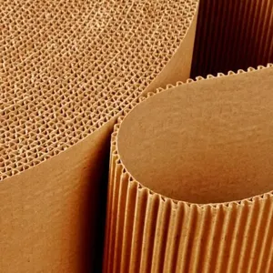 Corrugated Paper & Board thumbnail-1