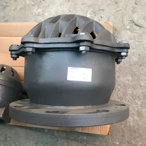 BS Compliant Swing Foot Valve High Flow Rate Design thumbnail-5