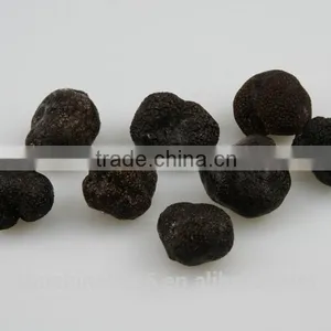 Black Truffle From Sunshine thumbnail-3
