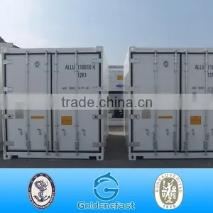 Hot Sale Manufacture Thermo King 20ft Reefer Container Price thumbnail-2