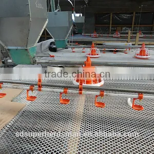 Poultry Chicken House thumbnail-1