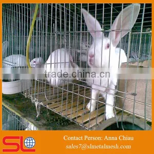 Industrial Cage for Rabbit/ Welded Rabbit Cage Wire Mesh / Rabbit Cage in Kenya Farm thumbnail-1