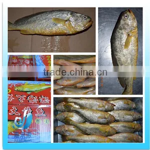 Frozen Yellow Croaker Fish thumbnail-1
