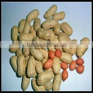 Chinese Raw Peanut in Shell thumbnail-1