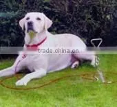 Leash Set Adjustable For Pet Dog thumbnail-6
