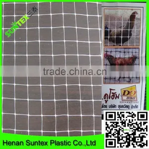 Light Weight Extruded New Hdpe Bird Netting Fruits Tree Covering Trellis Mesh thumbnail-1