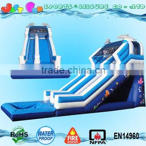 Commercial Grade Dolphin Water Slide With Pool, Big Water Slides for Sale thumbnail-1