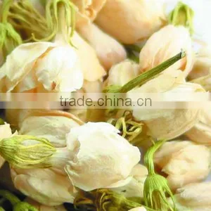 Top Quality China Mainland in Bulk Dry Herbs Good for Sleep Anti-aging Herbal Tea mo li Hua Jasminum Sambac Dried Jasmine Flower thumbnail-4