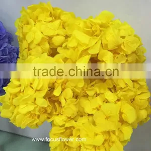 High Quality Fresh Preserved Flower Blue White Hydrangea Bouquet For Christmas thumbnail-2