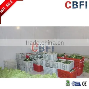 CBFI Cold Room for Fruits and Vegetables thumbnail-5